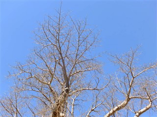 Djibouti weather forecast