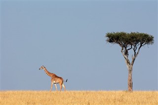 Djibouti weather forecast