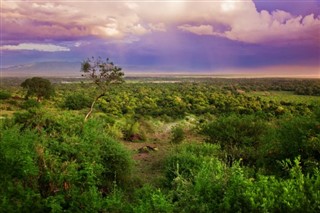 Djibouti weather forecast