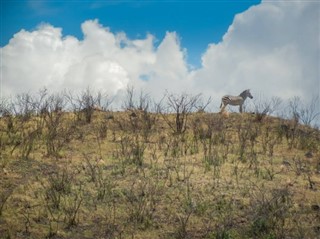 Djibouti weather forecast