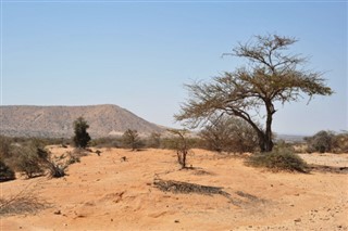 Djibouti weather forecast