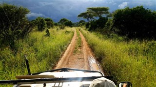 Djibouti weather forecast