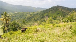 Dominica weather forecast