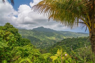 Dominica weather forecast