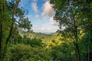 Dominica weather forecast