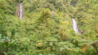 Dominica weather forecast