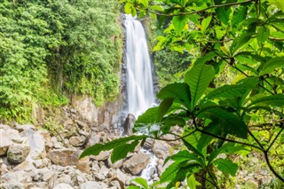 Dominica weather forecast