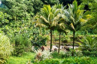 Dominica weather forecast