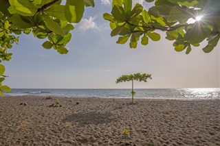 Dominica weather forecast