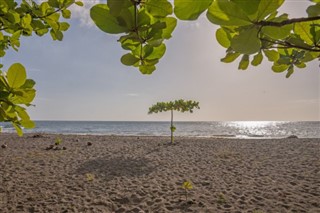 Dominica weather forecast