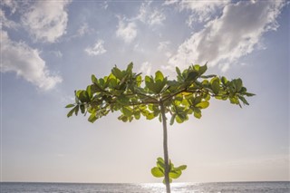 Dominica pronóstico del tiempo