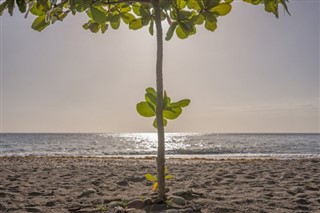 Dominica pronóstico del tiempo