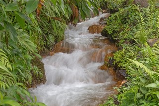 Dominica weather forecast