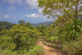 Dominica weather forecast