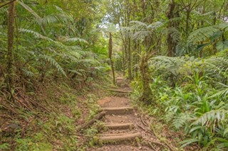 Dominica weather forecast