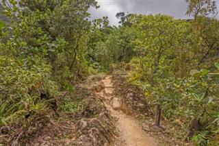 Dominica weather forecast