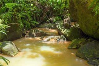 Dominica weather forecast