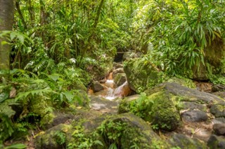 Dominica weather forecast