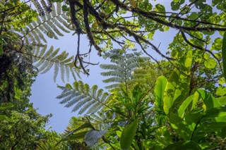 Dominica weather forecast