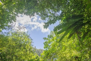 Dominica weather forecast