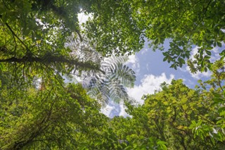 Dominica weather forecast