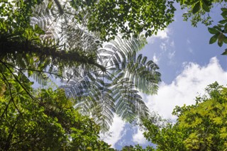 Dominica weather forecast