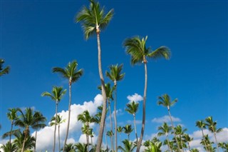 Dominican Republic weather forecast