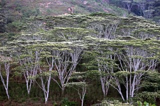 East Timor weather forecast