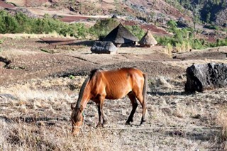 East Timor weather forecast