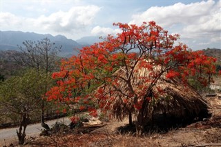 East Timor weather forecast