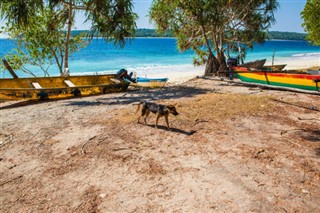 East Timor weather forecast