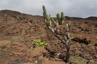 Ecuador pronóstico del tiempo