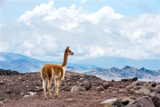 Ecuador sääennuste