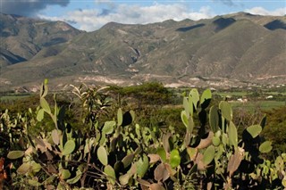 Ecuador weather forecast