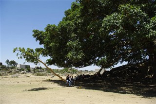 Eritrea weather forecast