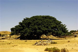 Eritrea weather forecast