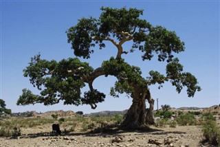 Eritrea weather forecast