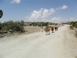 Eritrea weersvoorspelling