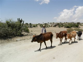 Eritrea weather forecast