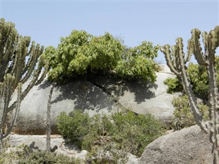 Erytrea prognoza pogody