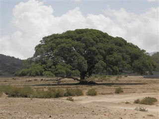 Eritrea weather forecast