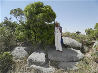 Eritrea weather forecast