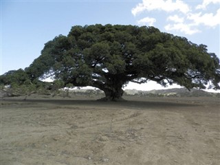 Eritrea weather forecast