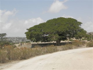 Eritrea weather forecast