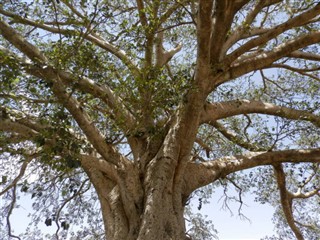 Eritrea weather forecast