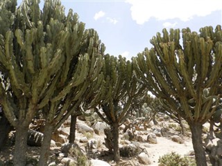 Eritrea weather forecast