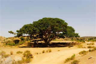 Eritrea weather forecast