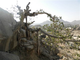 Eritrea weather forecast