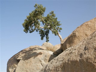 Eritrea weather forecast