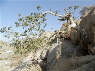 Eritrea weather forecast